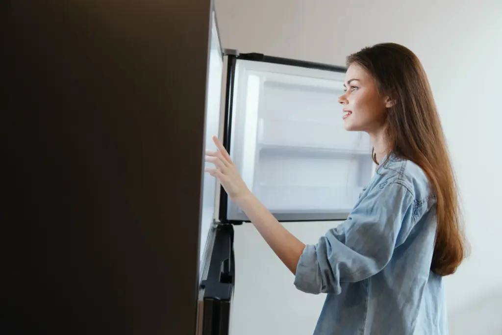 How to Replace Refrigerator Door Gasket Lyndhurst Ohio