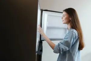 How to Replace Refrigerator Door Gasket Lyndhurst Ohio