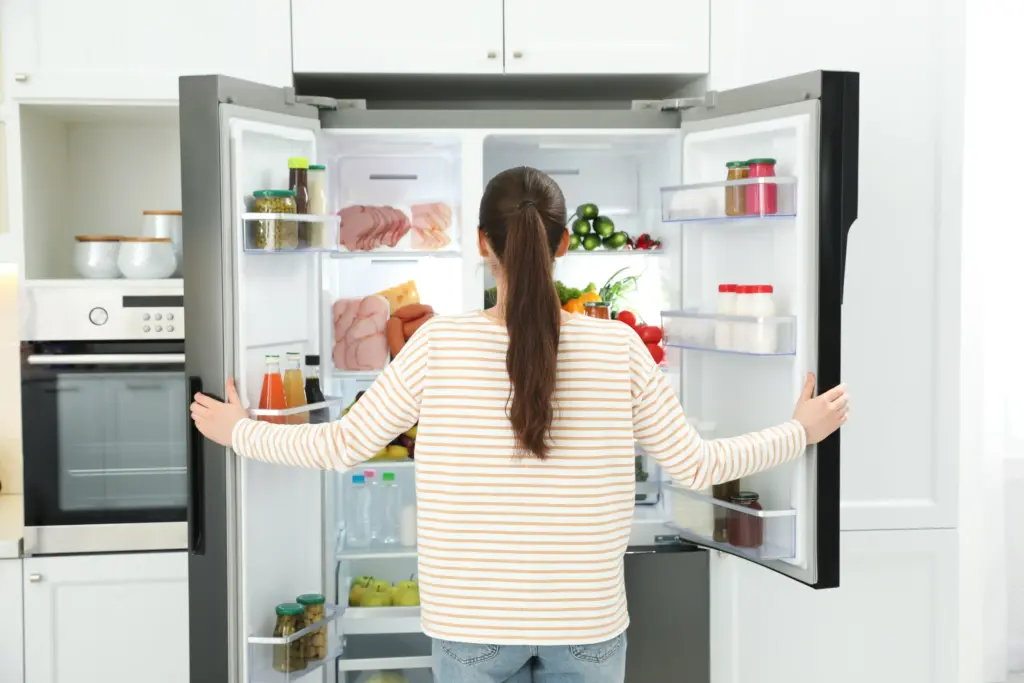 How to Replace Refrigerator Door Seal Parma Ohio