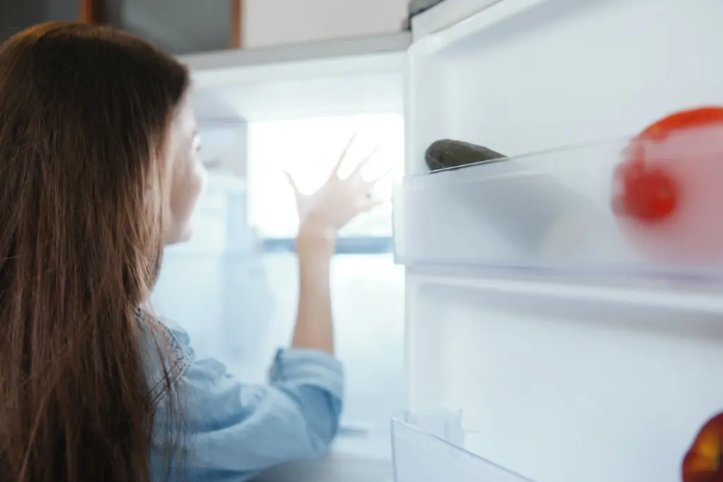 How to Replace Refrigerator Light Bulb East Cleveland Ohio