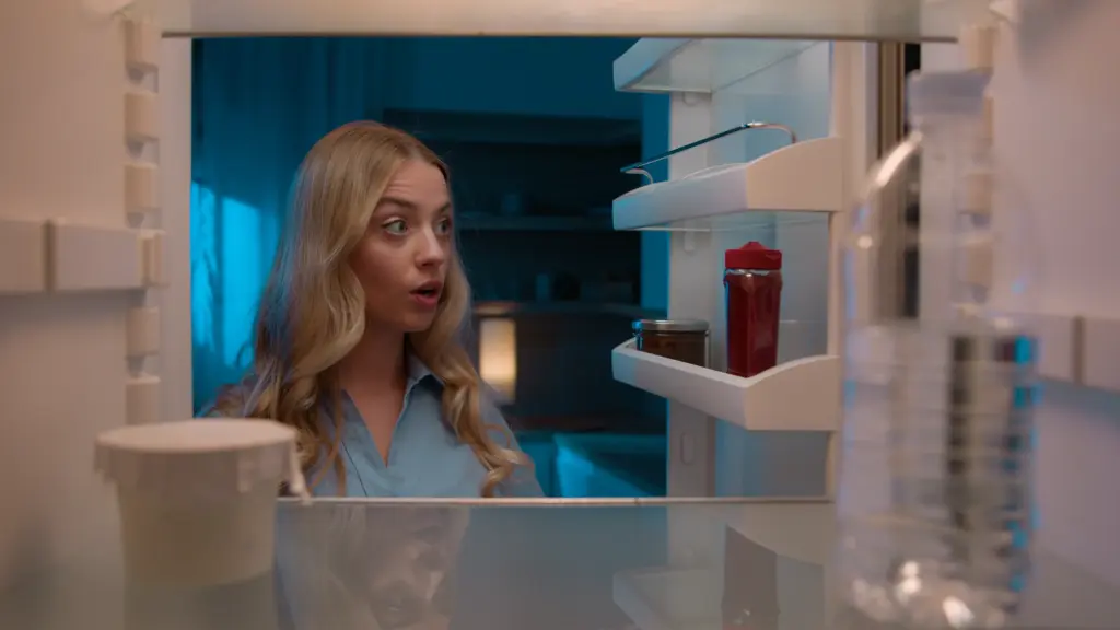 How to Replace Refrigerator Light Bulb South Euclid Ohio