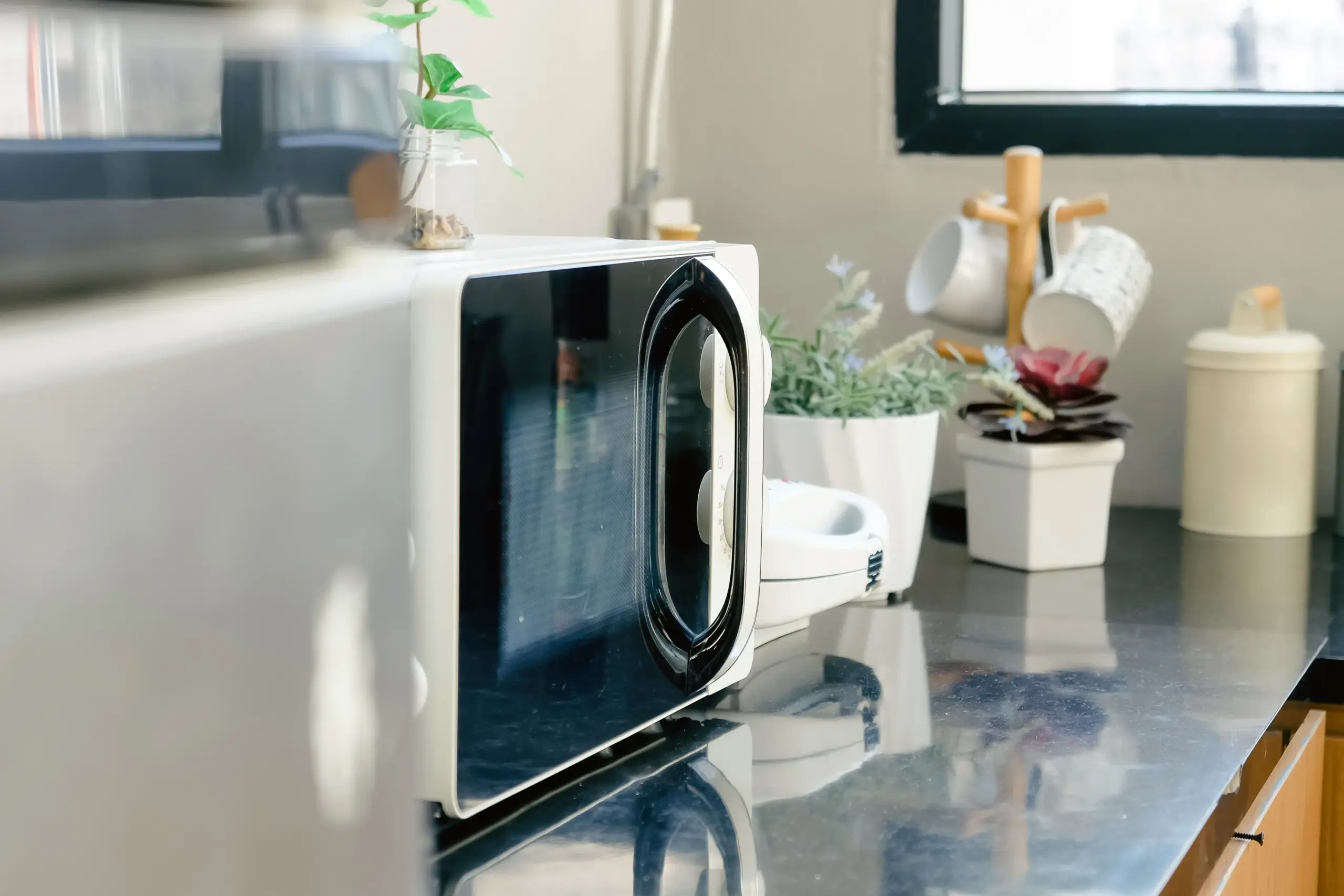 Can Microwave Kill Mold brooklyn ohio